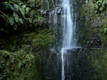 Drm 20190103 em530223