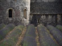 Drm e-m5markii 20170626 em560131